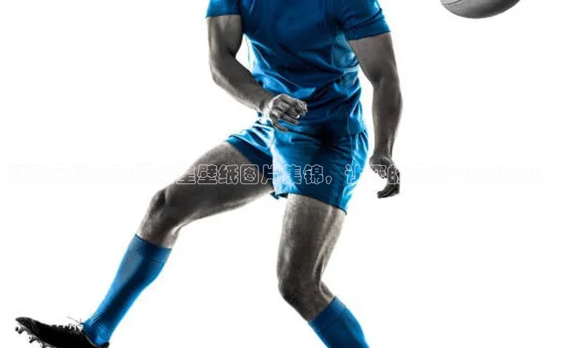 门徒平台登录地址路畅科技