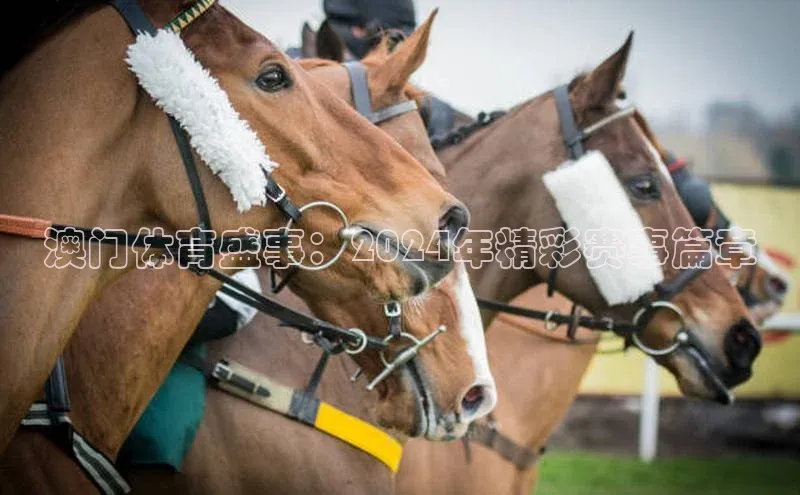 门徒娱乐在线登录