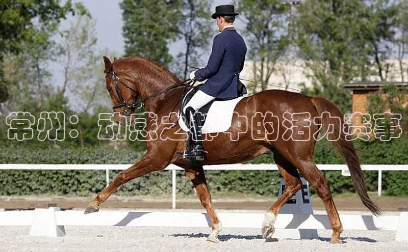 门徒注册登录地址