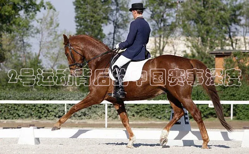 门徒平台注册中心