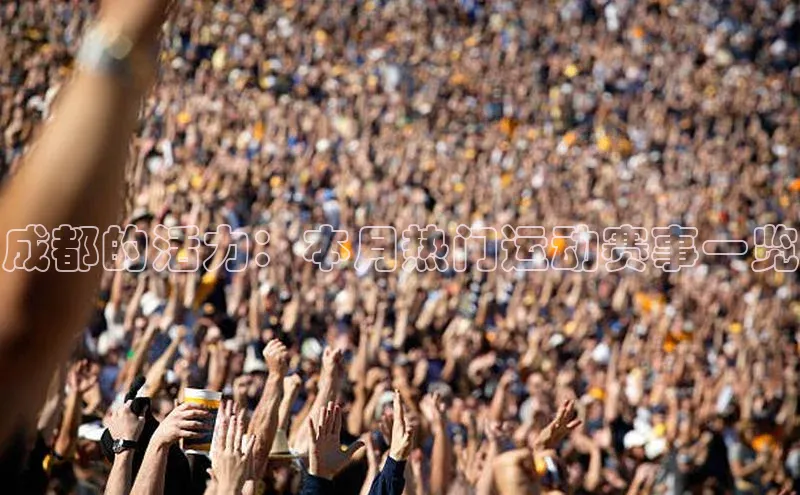 门徒娱乐平台登录入口